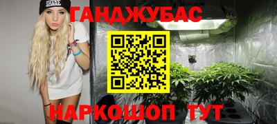 шишки Волжск