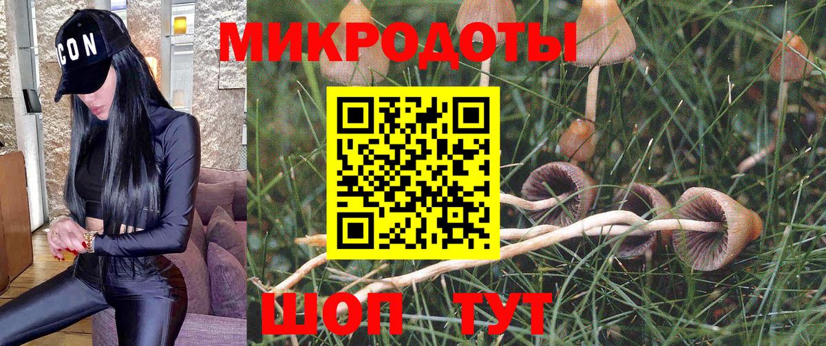 Псилоцибиновые грибы Magic Shrooms  наркота  Югорск  Вход с VPN 