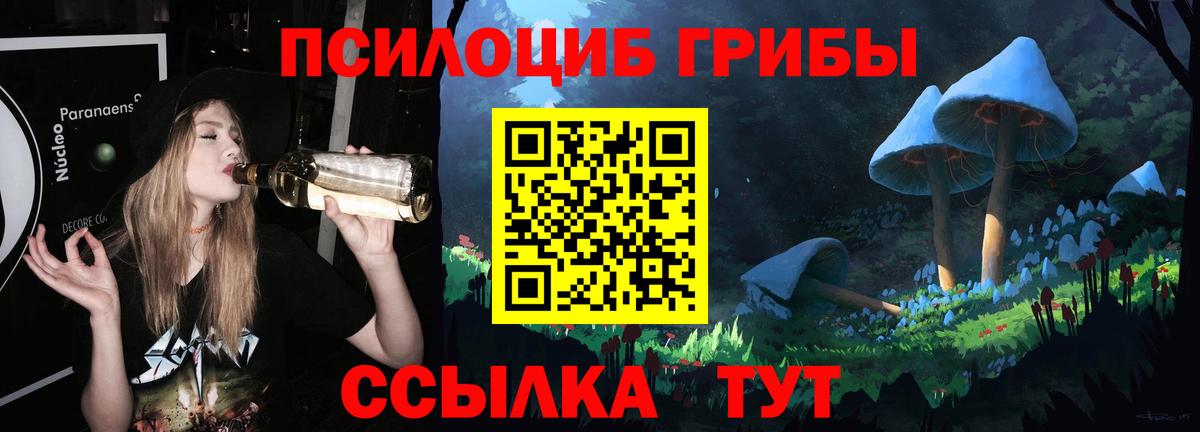 Галлюциногенные грибы Psilocybe  купить наркотики сайты  Югорск  Галлюциногенные грибы ЛСД 