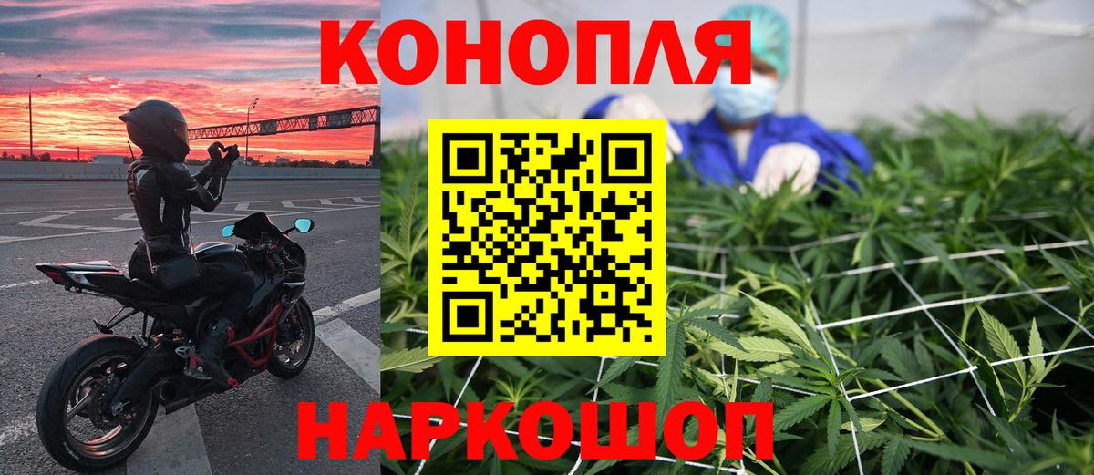 Бошки марихуана MAZAR  Конопля Bruce Banner  Вход с VPN  Югорск  Конопля тримм 